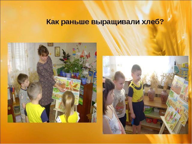 Проект: «Приключения хлебного зернышка»