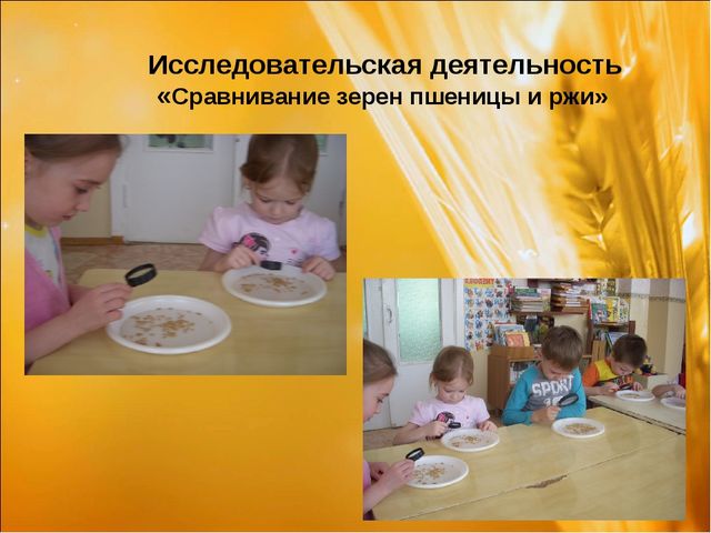 Проект: «Приключения хлебного зернышка»