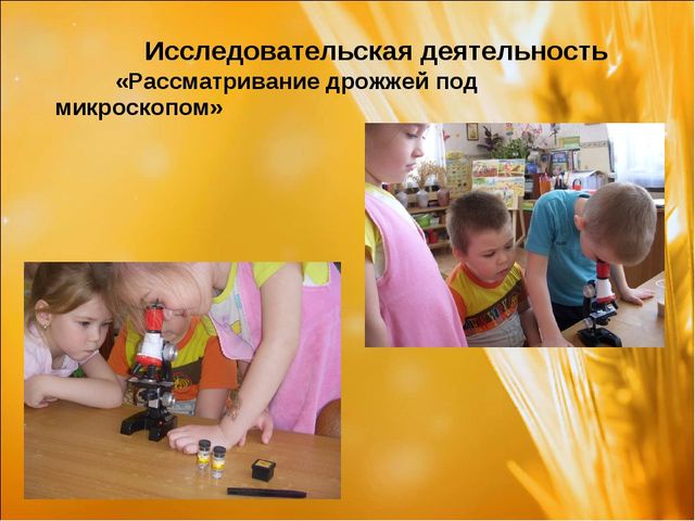 Проект: «Приключения хлебного зернышка»