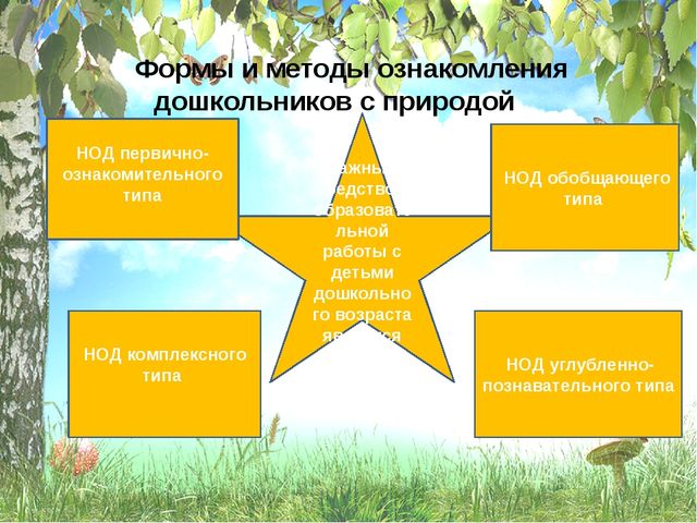 Методы ознакомления с природой. Методика ознакомления детей с природой. Ознакомление дошкольников с природой. Формы ознакомления дошкольников с природой. Схема методы ознакомления дошкольников с природой.