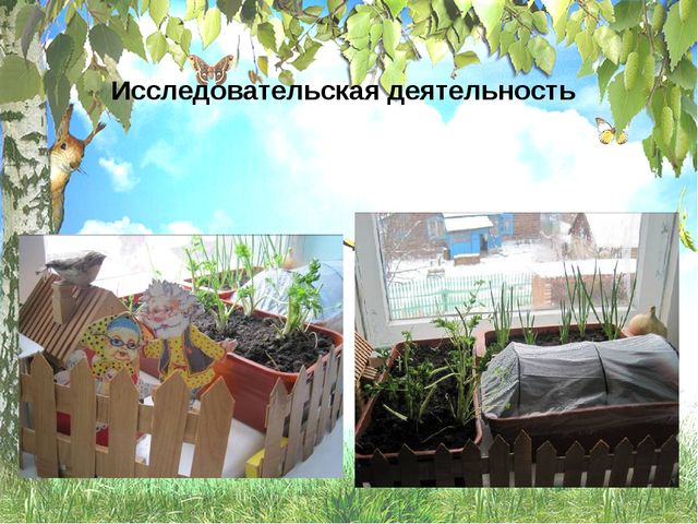 Презентация " Использование диагностических методик и роль диагностики в системе экологического воспитания"