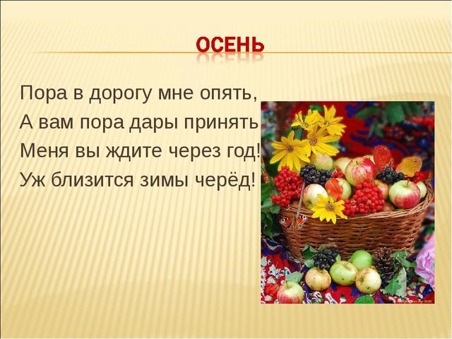 Презентация к осеннему празднику в подготовительной группе "Осенний Петербург"