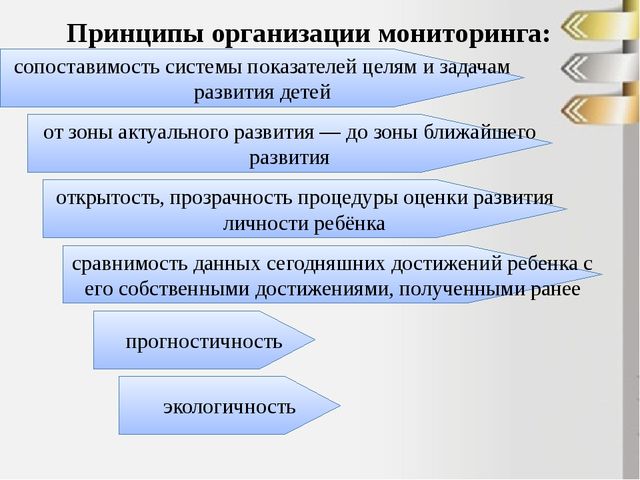 Принципы мониторинга. Принципы проведения мониторинга. Принципы организации системы мониторинга.. Основные принципы проведения мониторинга:.