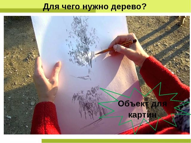 Презентация "Деревья нашего леса"