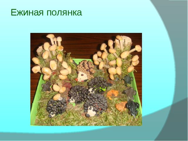 «Экология"как средство развития творческих способностей детей дошкольного возраста