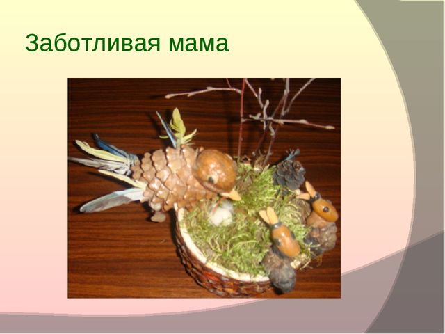 «Экология"как средство развития творческих способностей детей дошкольного возраста