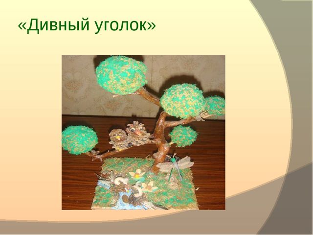«Экология"как средство развития творческих способностей детей дошкольного возраста