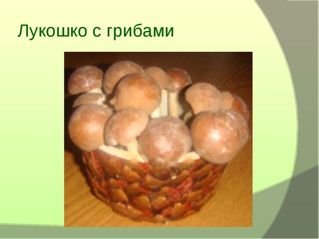 «Экология"как средство развития творческих способностей детей дошкольного возраста