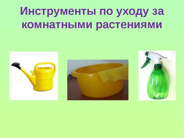Презентация "Уход за комнатными растениями"