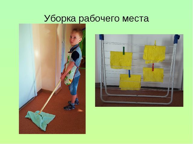 Презентация "Уход за комнатными растениями"