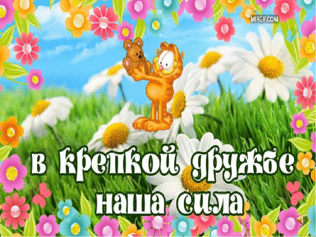 Ты мой друг и твой друг