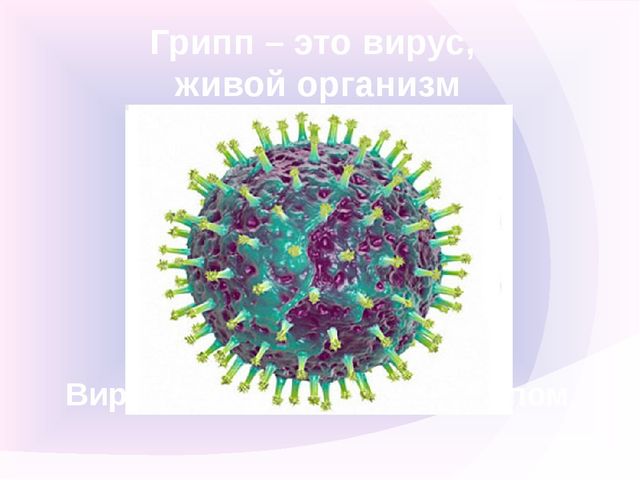 Презентация на тему "Профилактика гриппа и ОРВИ ".