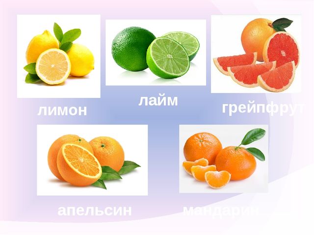 Презентация на тему "Профилактика гриппа и ОРВИ ".