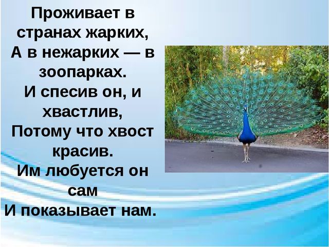 Презентация по обучению грамоте "Волшебная буква"