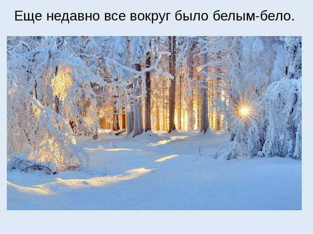 Презентация на тему "Весна"