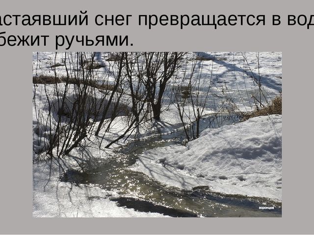 Презентация на тему "Весна"