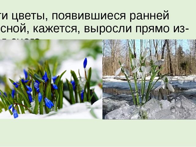 Презентация на тему "Весна"