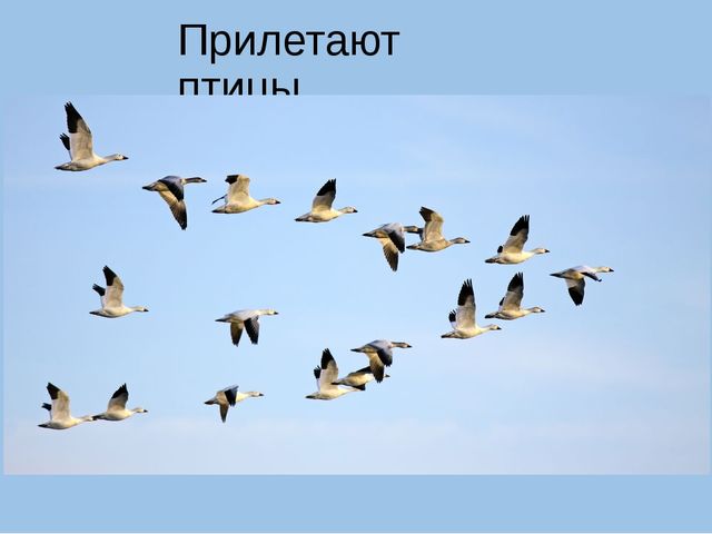 Презентация на тему "Весна"