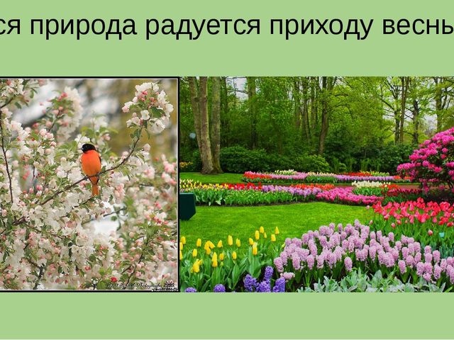 Презентация на тему "Весна"