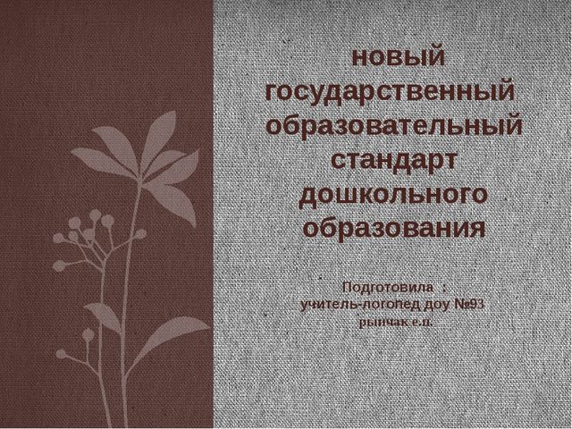 Новый государственный образовательный стандарт дошкольного образования