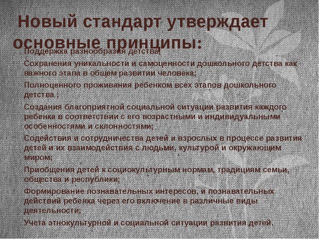 Новый государственный образовательный стандарт дошкольного образования