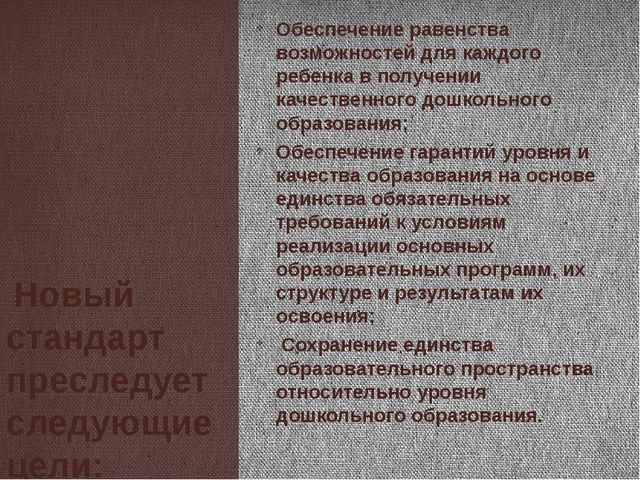 Новый государственный образовательный стандарт дошкольного образования