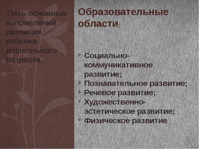 Новый государственный образовательный стандарт дошкольного образования