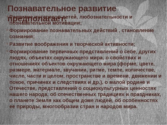 Новый государственный образовательный стандарт дошкольного образования