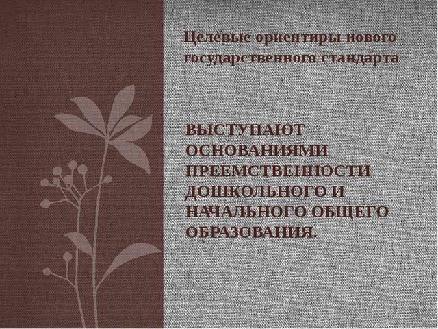 Новый государственный образовательный стандарт дошкольного образования
