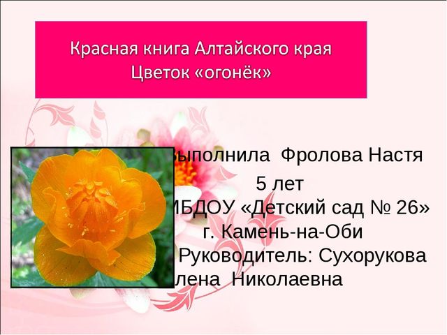 Мастер-класс по изготовлению цветов "огоньков" из гофрированной бумаги.