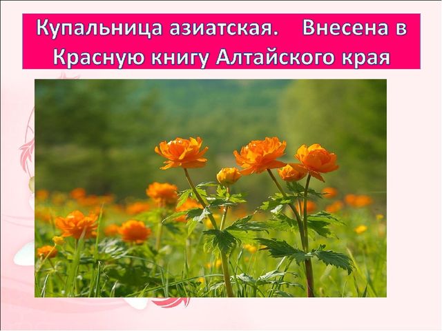 Мастер-класс по изготовлению цветов "огоньков" из гофрированной бумаги.