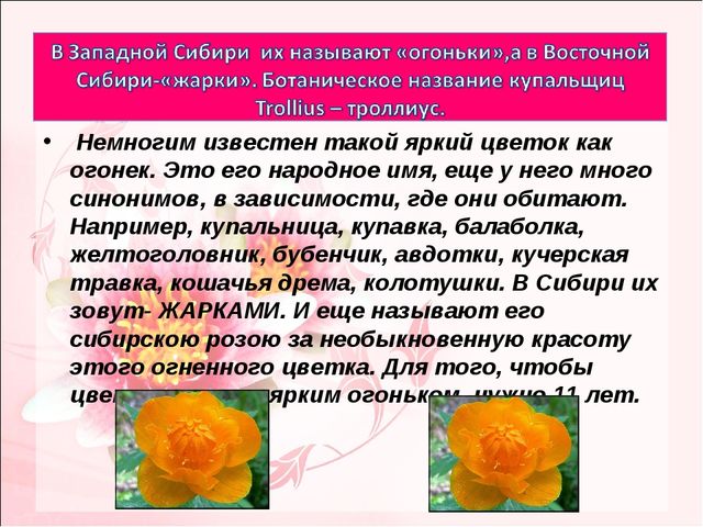 Мастер-класс по изготовлению цветов "огоньков" из гофрированной бумаги.