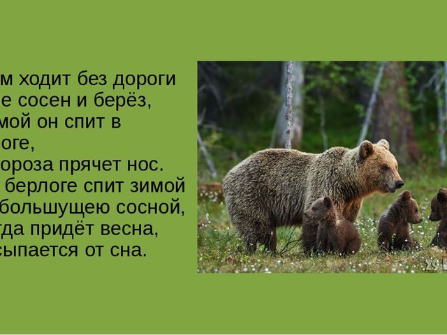 Презентация на тему "Животные средней полосы России"
