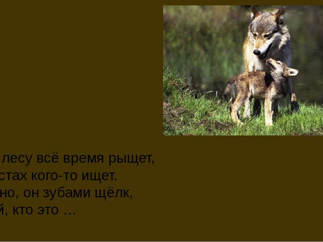 Презентация на тему "Животные средней полосы России"