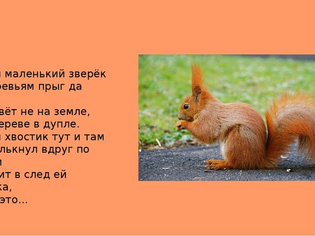 Презентация на тему "Животные средней полосы России"