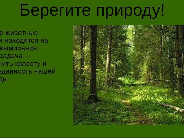 Презентация на тему "Животные средней полосы России"