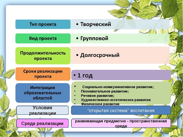 Проектная деятельность в ДОУ