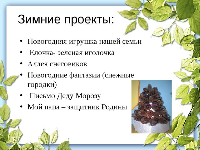 Проектная деятельность в ДОУ