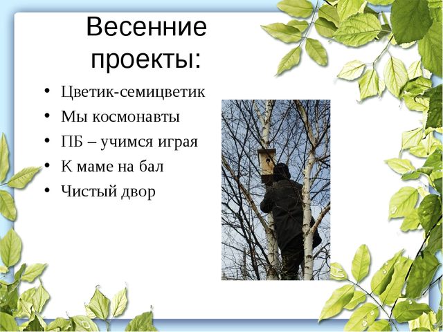 Проектная деятельность в ДОУ