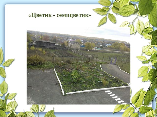 Проектная деятельность в ДОУ