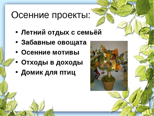 Проектная деятельность в ДОУ