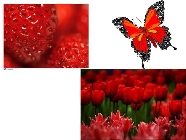 Colors and what color is the shape