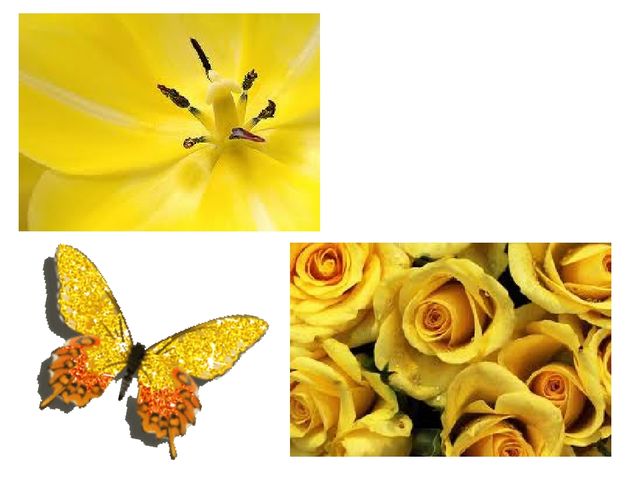 Colors and what color is the shape