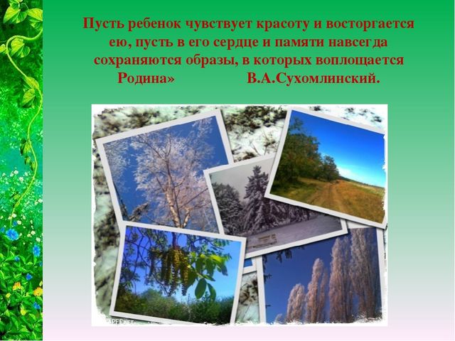 Презентация "Экологический дизайн как средство развития творческих способностей детей дошкольного возраста"