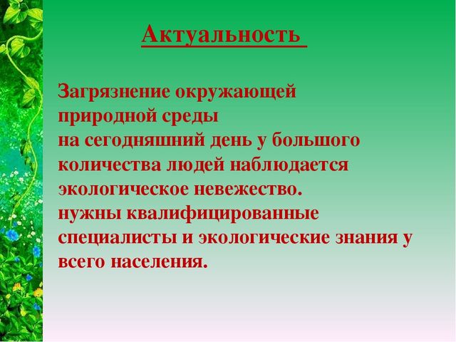 Презентация "Экологический дизайн как средство развития творческих способностей детей дошкольного возраста"