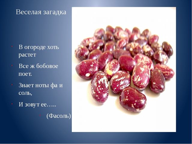 Презентация к занятию "Веселая фасоль"