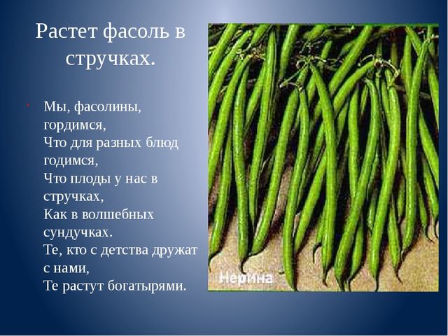 Презентация к занятию "Веселая фасоль"