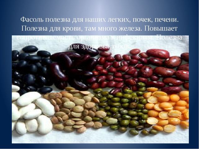 Презентация к занятию "Веселая фасоль"