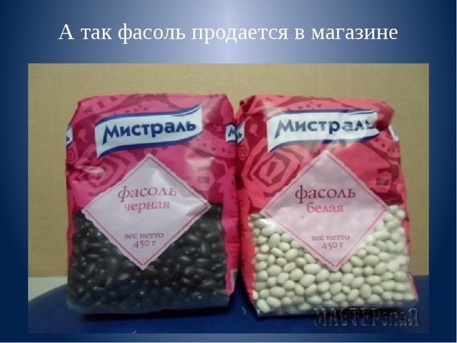 Презентация к занятию "Веселая фасоль"