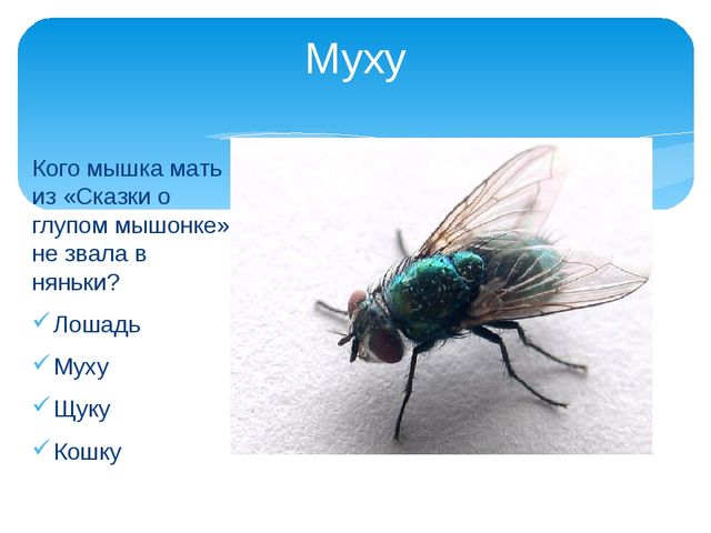 Презентация к празднику "День Матери"